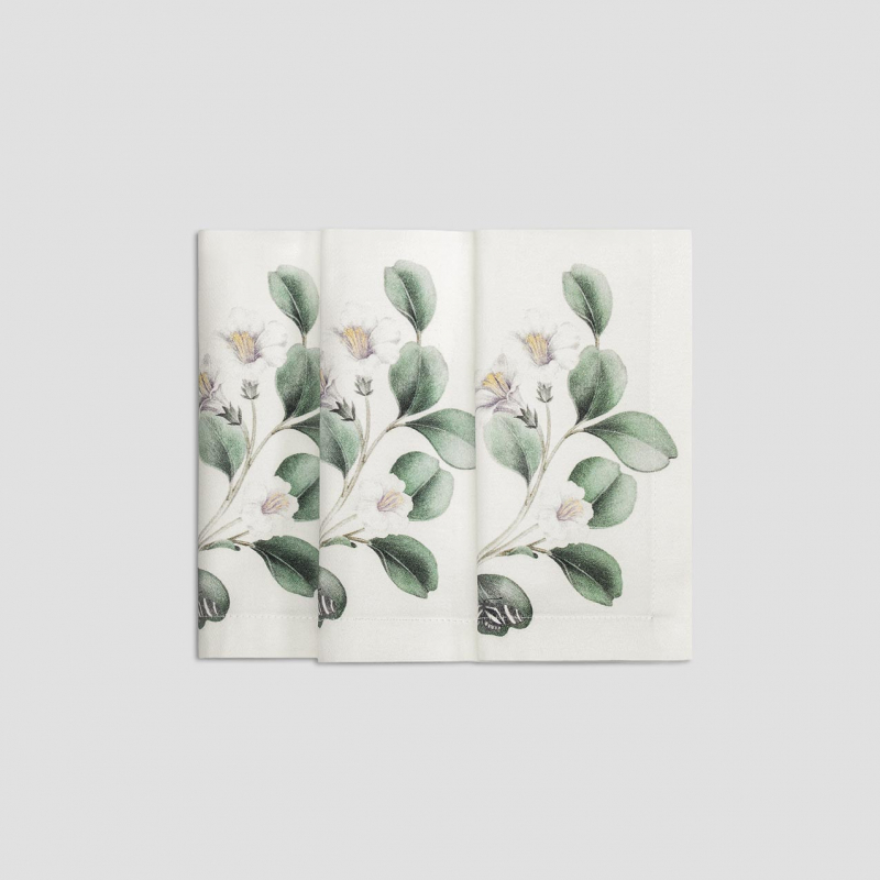 Napkin Alfabia