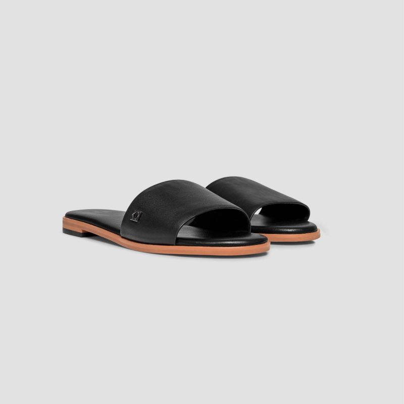 Slides GLORIA  
