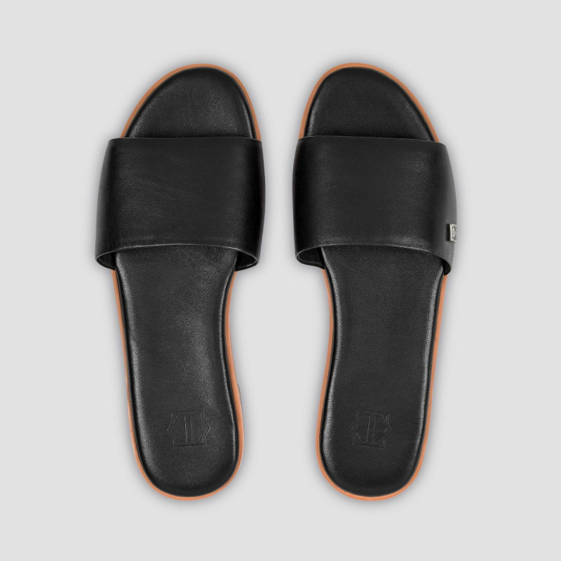 Slides GLORIA  