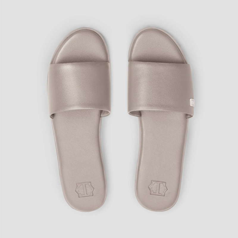 Slides GLORIA     