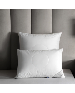 Pillow ORBIS