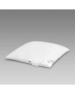 Pillow ILBAMA