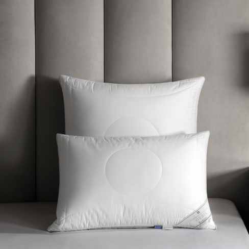 Pillow ORBIS