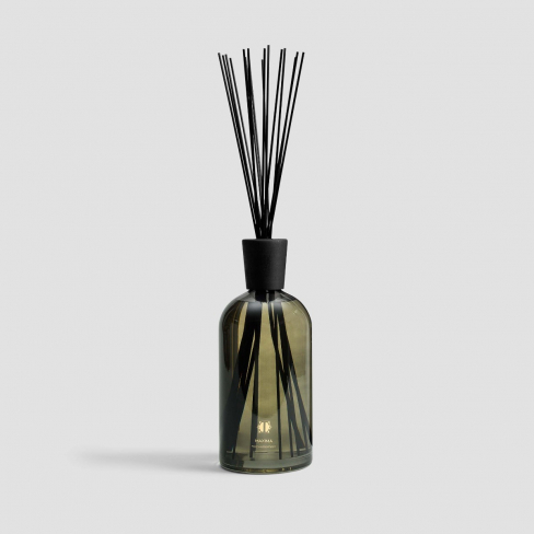 Aroma diffuser MAXIMA