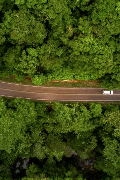 Link to Together with Nature category page